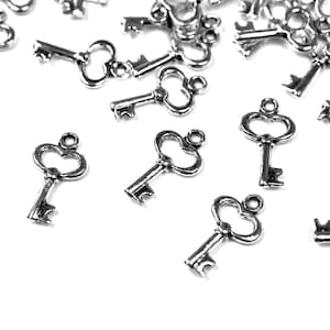 May include: A pile of silver-toned key charms with intricate designs. The keys have a heart-shaped bow at the top and a detailed keyhole.