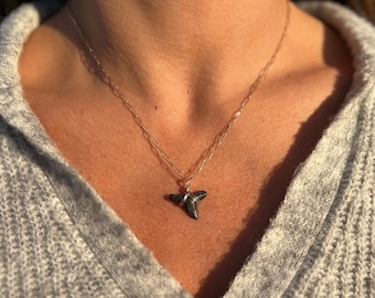 Collar con diente de tiburón auténtico: cadena con clip bañada en oro de 14 k