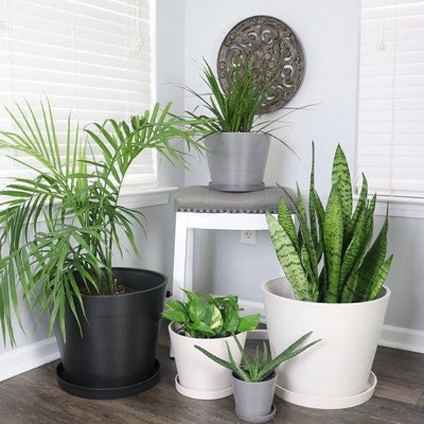 Indoor planters with drainage and saucer, 5.5/10/16 Inch, Modern Decorative Planter made with recycled materials, for All House Plants