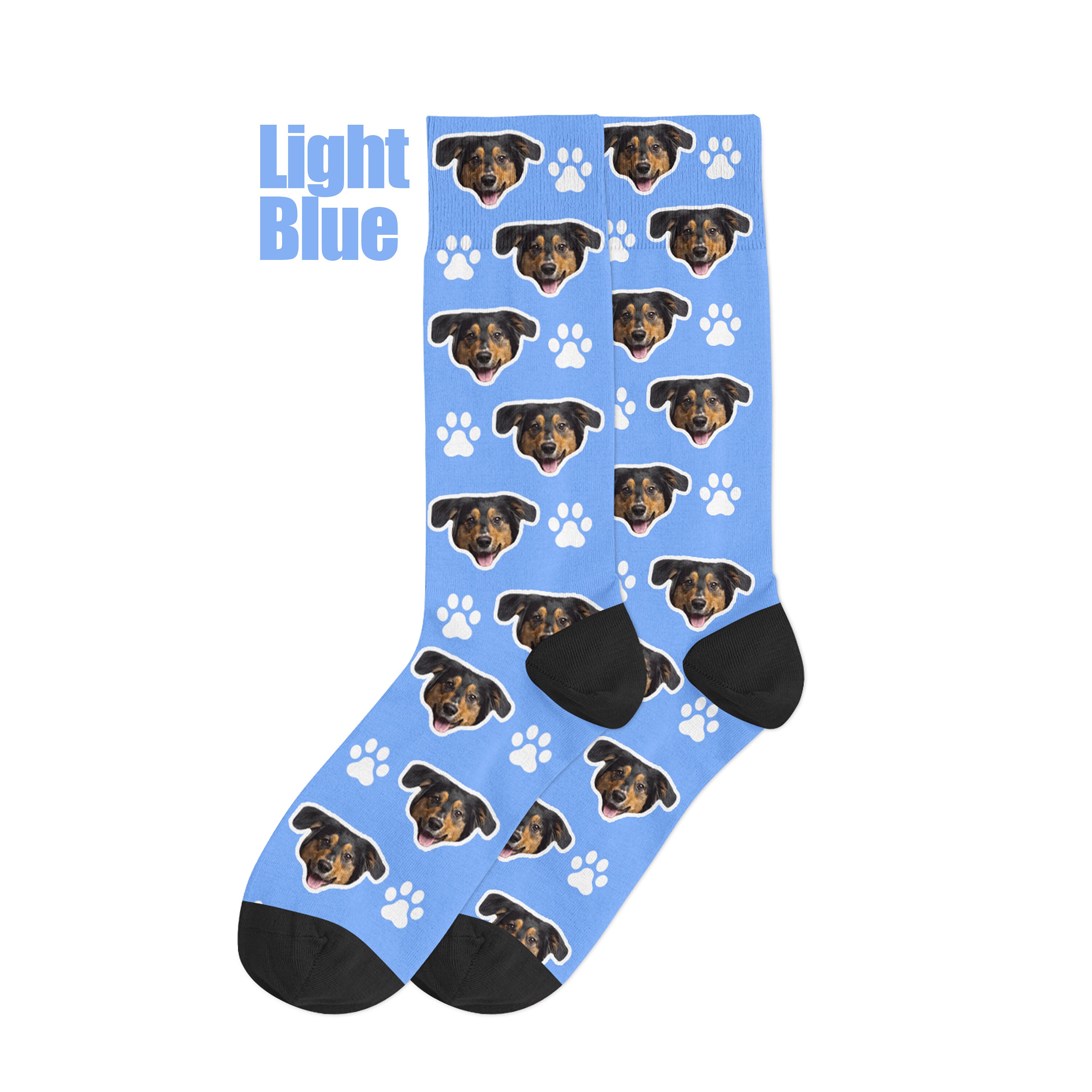 foto socken hund