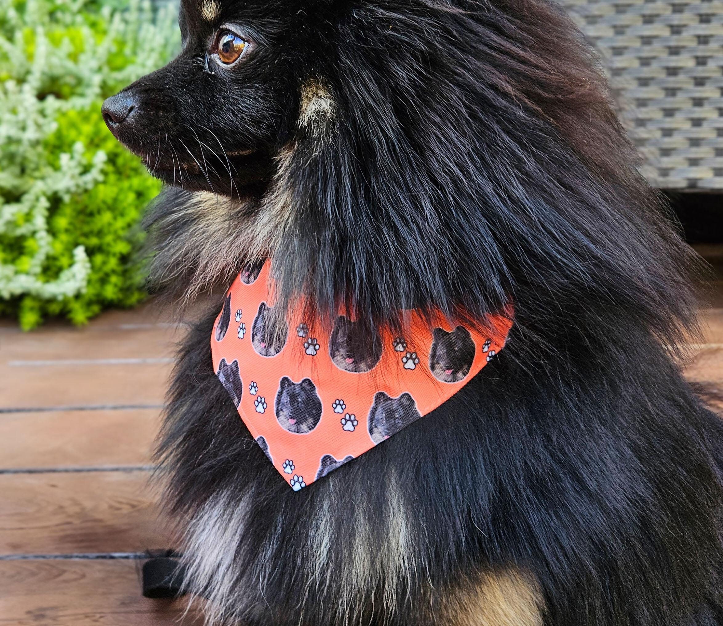 Pet Bandanas Etsy