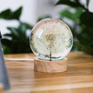 Dandelion Night Light, Real Dandelion puff Paperweight, Flower Epoxy Resin Nightlight, Epoxy Resin Wood Table Lamp Gift for her gift for mom image 6