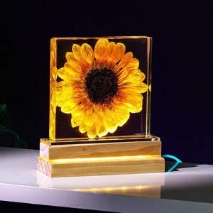 Real Sunflower Night Light, Sunflower Paperweight, Sunflower Decor Night light, Friend Gifts, Friend Ornament, mother&#39;s day gift for her