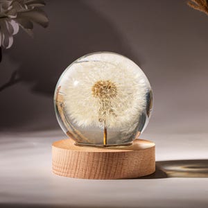 Dandelion Night Light, Real Dandelion puff Paperweight, Flower Epoxy Resin Nightlight, Epoxy Resin Wood Table Lamp Father's days idea image 8