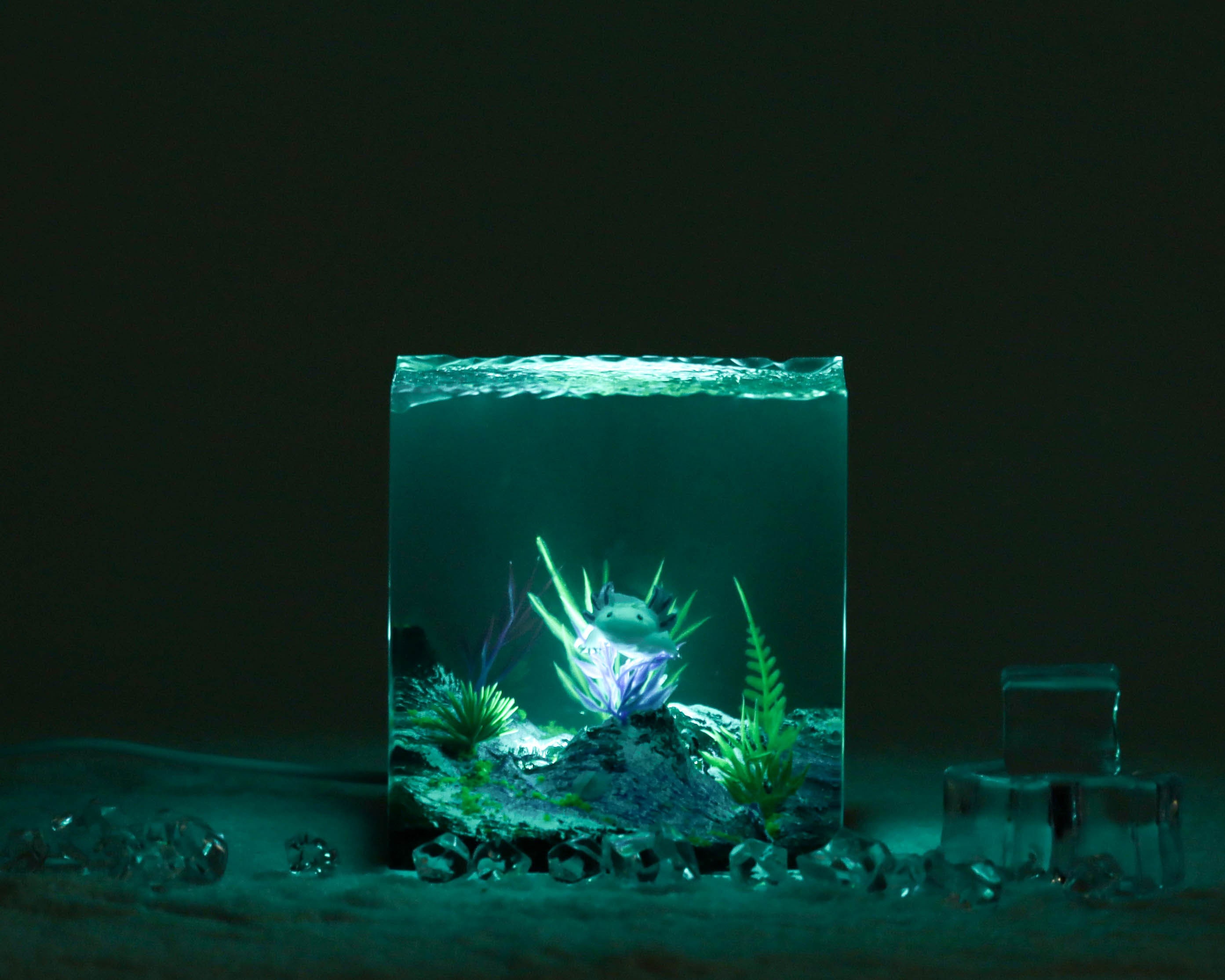 Axolotl Night Lights Axolotl Epoxy Lamp Animal Night Light Etsy Australia