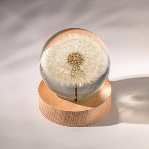 Dandelion Night Light, Real Dandelion puff Paperweight, Flower Epoxy Resin Nightlight, Epoxy Resin Wood Table Lamp Father's days idea image 3