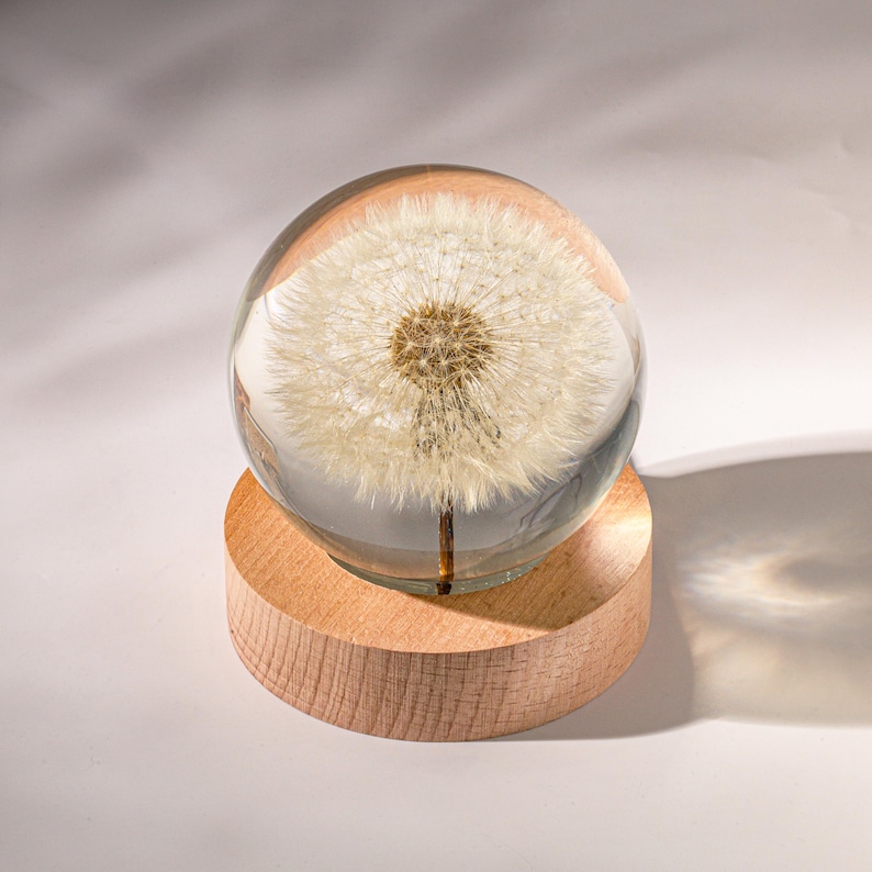 Dandelion Night Light, Real Dandelion puff Paperweight, Flower Epoxy Resin Nightlight, Epoxy Resin Wood Table Lamp Father's days idea image 3