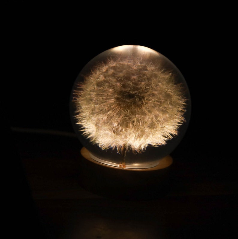 May include: A white dandelion flower encased in a clear glass sphere, illuminated from within, creating a warm glow.