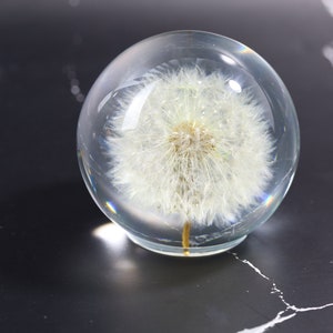 May include: A clear glass sphere with a white dandelion inside. The dandelion is preserved and appears to be floating in the sphere.
