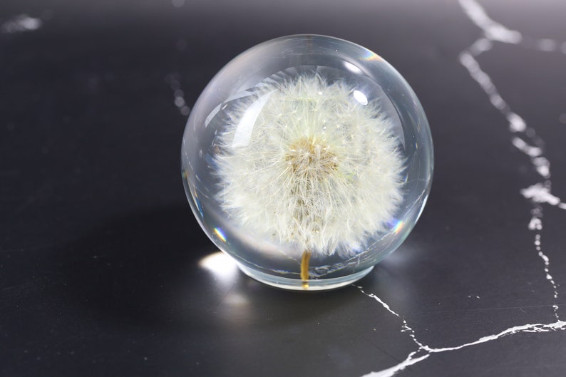 May include: A clear glass sphere with a white dandelion inside. The dandelion is preserved and appears to be floating in the sphere.