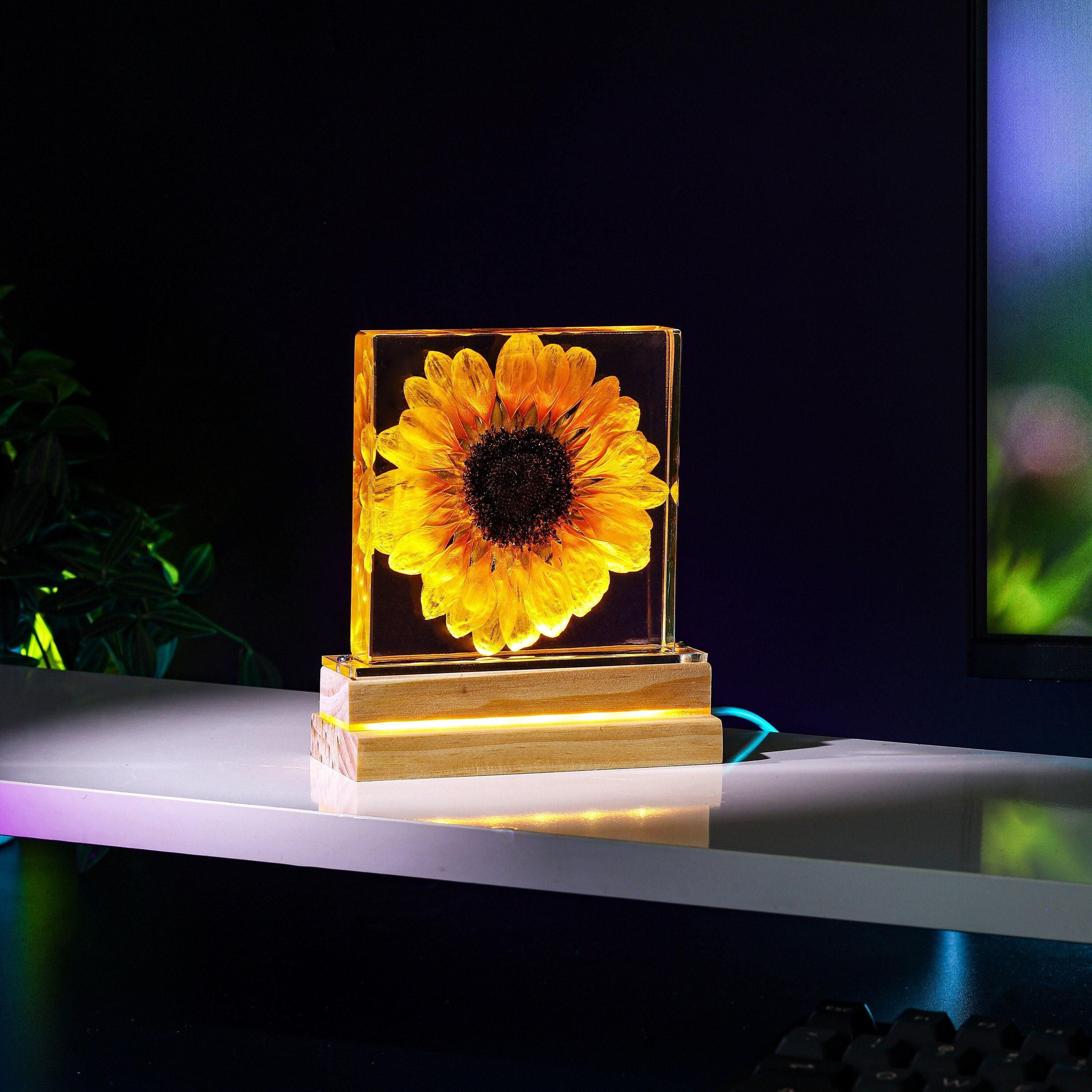 Real Sunflower Night Light, Sunflower Paperweight, Sunflower Decor