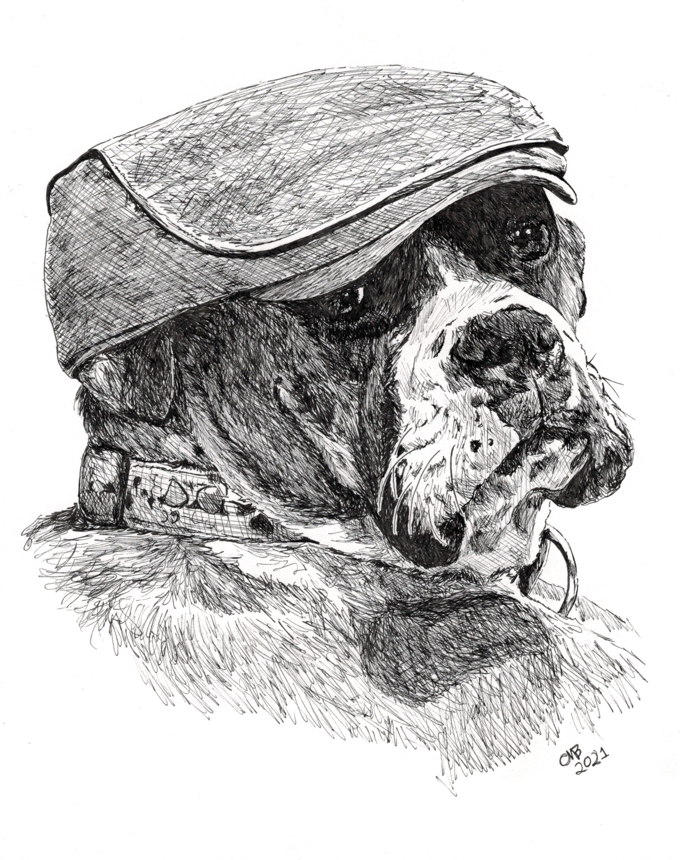 Custom Hand Drawn, Pen and Ink, Pet Portrait - Etsy