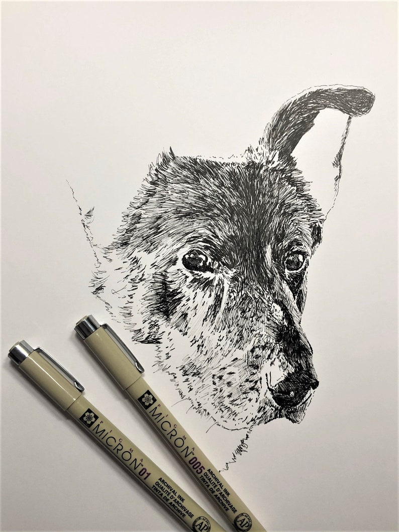 Custom Hand Drawn, Pen and Ink, Pet Portrait - Etsy