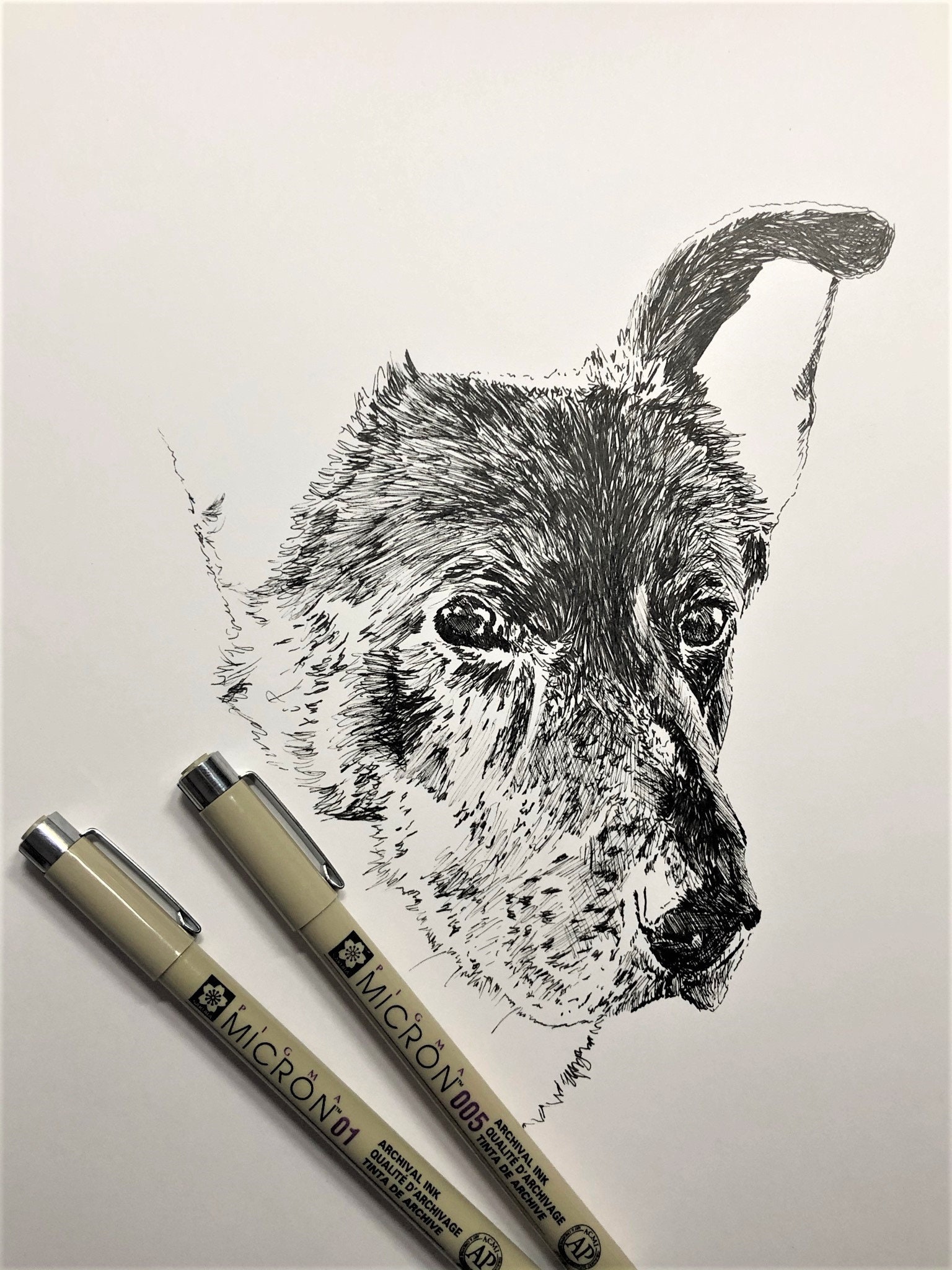 Custom Hand Drawn, Pen and Ink, Pet Portrait - Etsy
