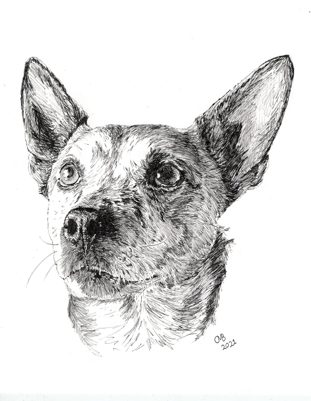 Custom Hand Drawn, Pen and Ink, Pet Portrait - Etsy