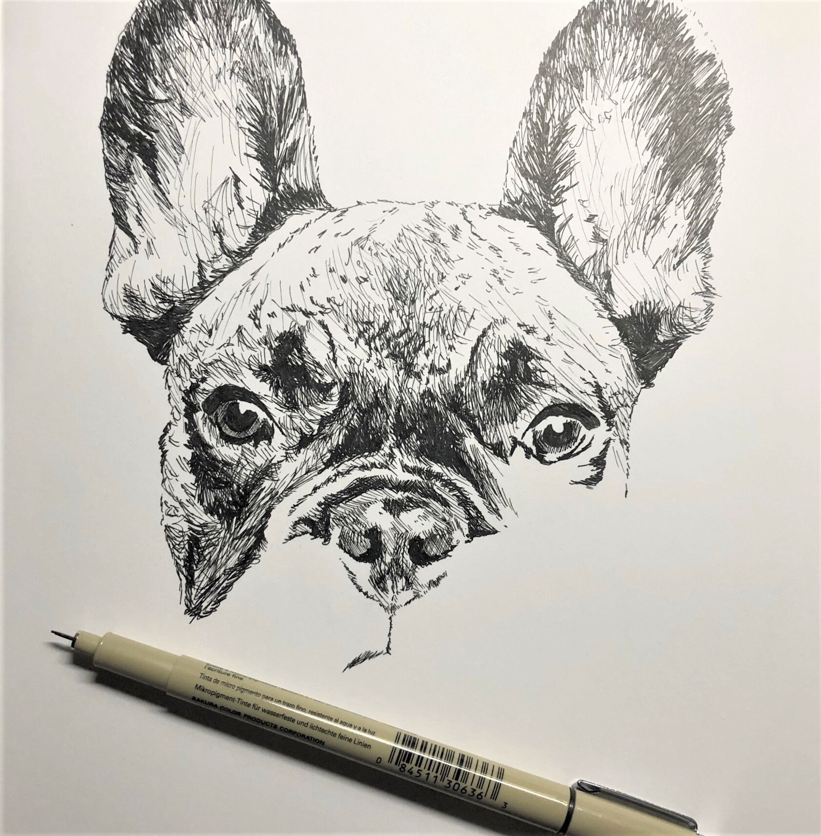 Custom Hand Drawn, Pen and Ink, Pet Portrait - Etsy