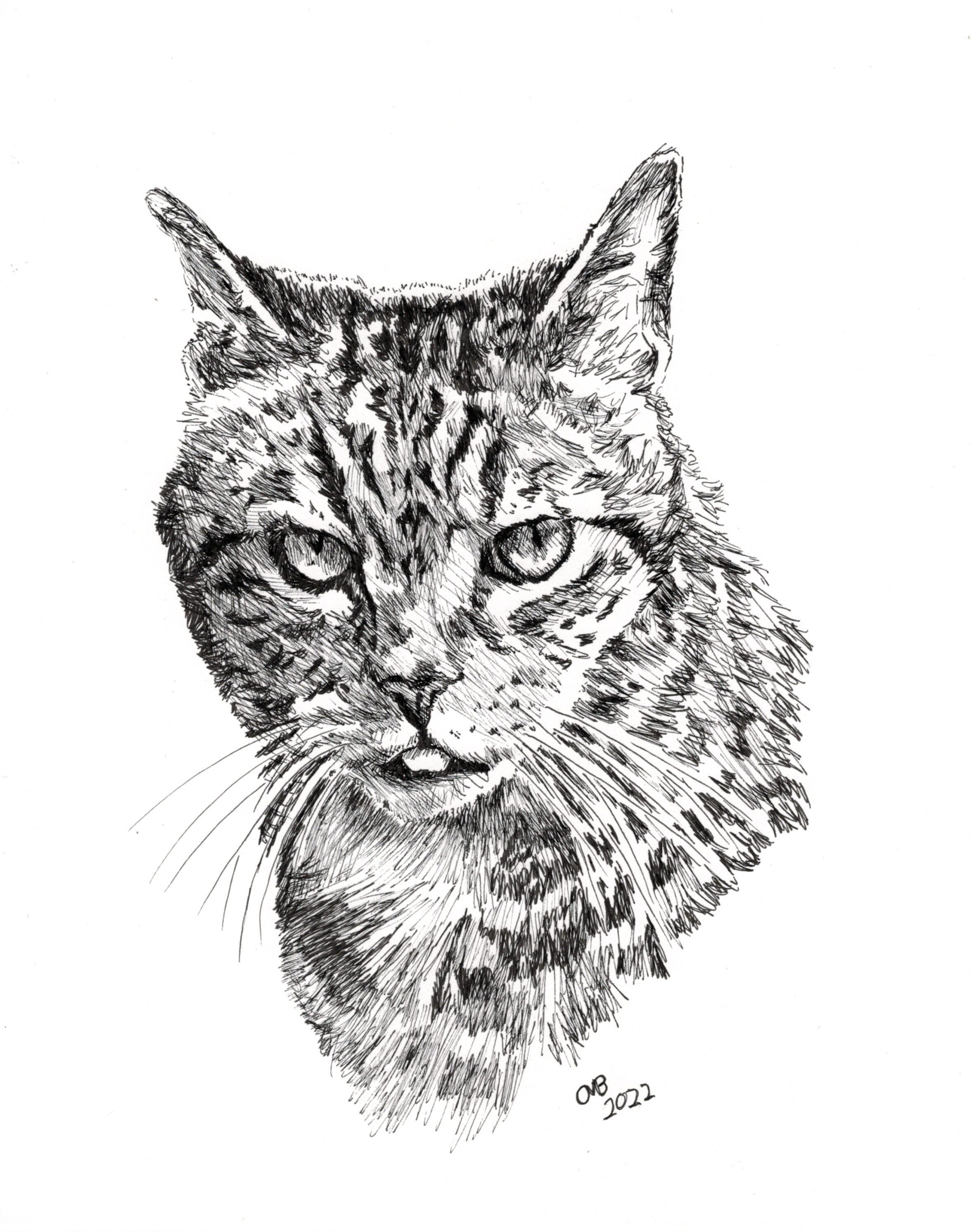Custom Hand Drawn, Pen and Ink, Pet Portrait - Etsy