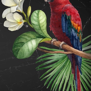 Mint by Michelle Decoupage Paper - Parrot