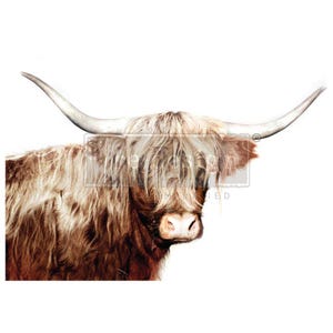 A1 Decoupage Fiber – Majestic Moo