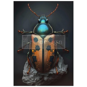 May include: A close-up of a large, iridescent green and blue beetle with orange and black markings on its wings. The beetle is perched on a gray rock.