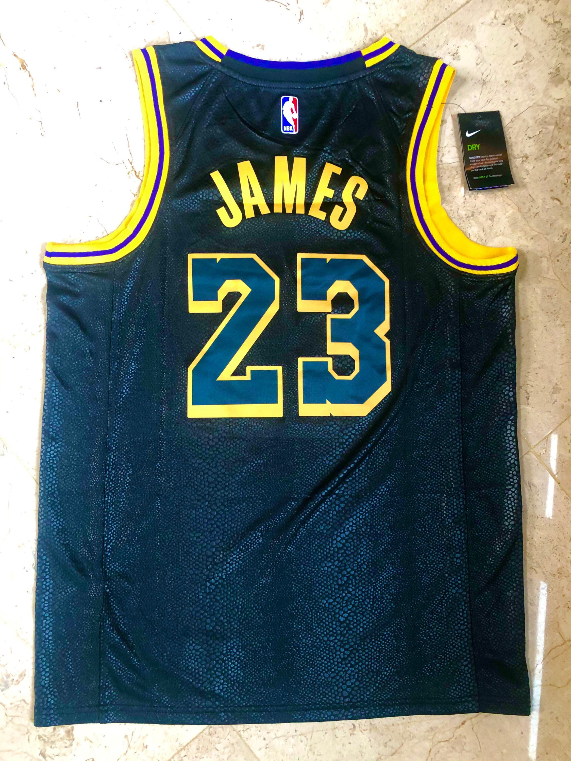 Lebron James Los Angeles Lakers Mamba Edition Black Large | Etsy
