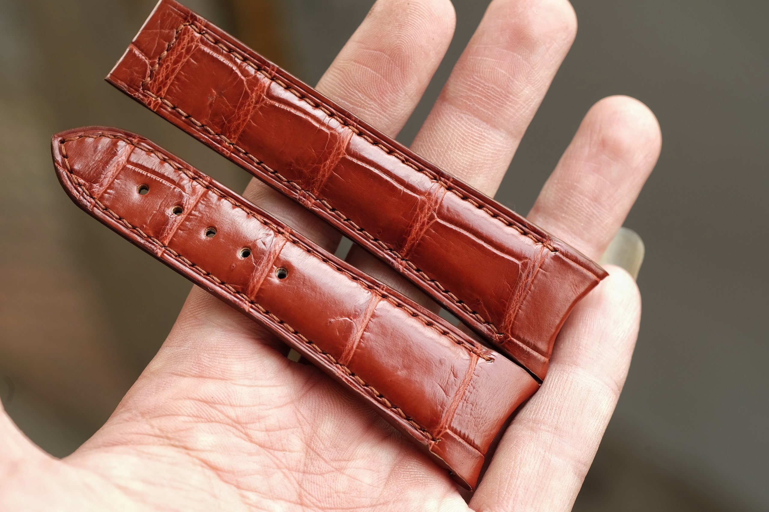 Curved End Lug Watch Strap. Orange Genuine Alligator Leather Etsy