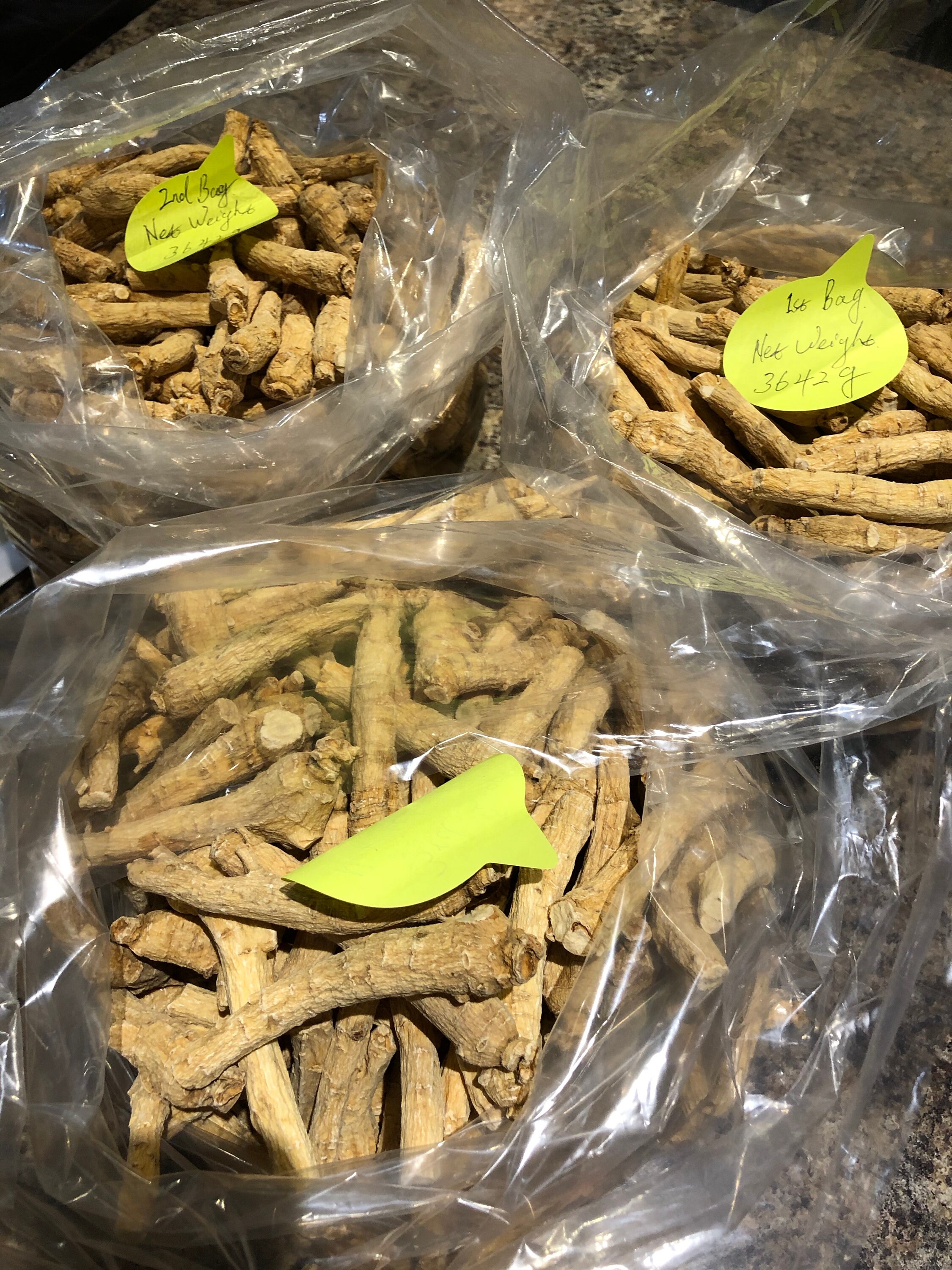 On Sale Selected & Regular Ginseng Roots 300g/bag 100 Etsy