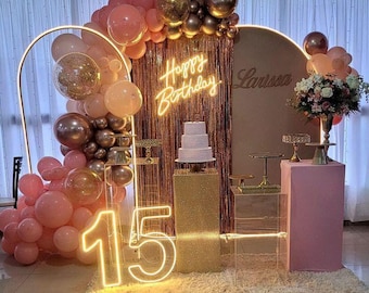 Custom LED Neon Sign for Birthday | Name & Age Light Up Sign | Party Backdrop Decor | Custom LED Light | Handmade Wall Light | Room Decor