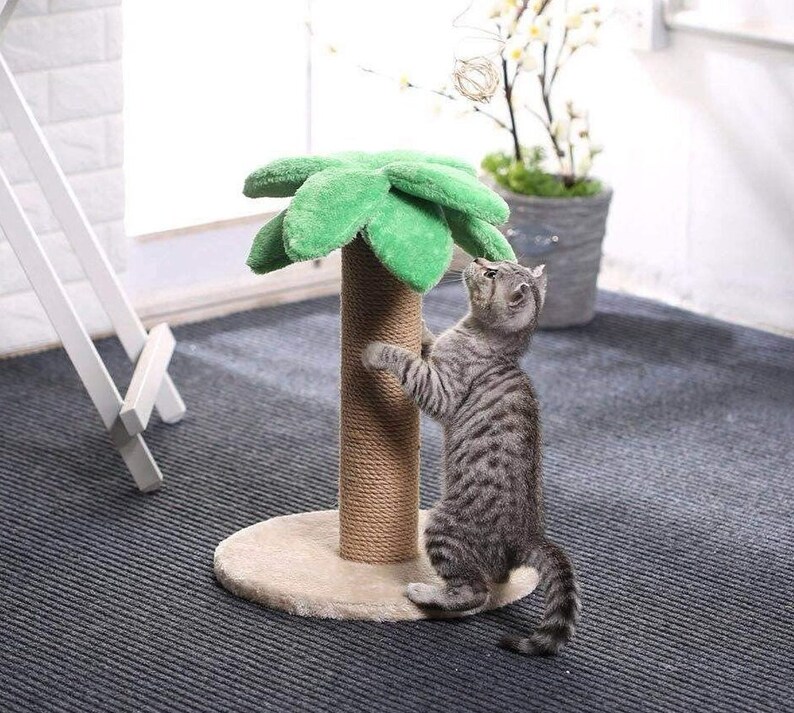 coco palm cat scratching post