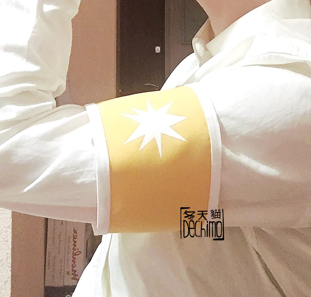 Eldian armband anime cosplay aot Etsy