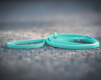 Biothane Slip Leash