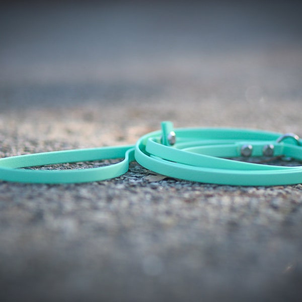 Biothane Slip Leash