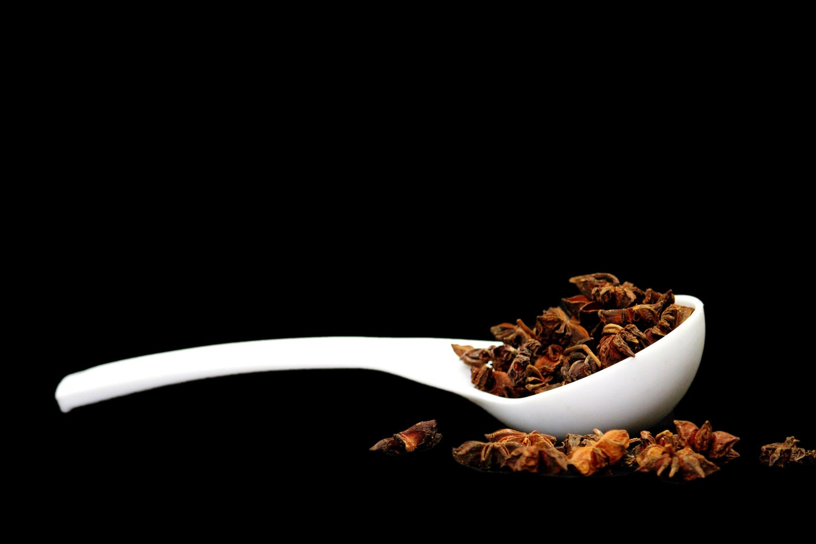 Fresh Star anise Star anise whole Ground star anise Cooking Etsy