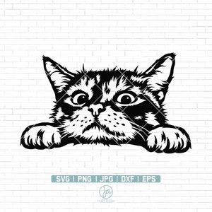 Cute Cat Svg | Peeking Cat Svg | funny kitty | Cat SVG | Animal funny face | Peeking Pet Face | Cat Svg Files for Cricut | Png Dxf Jpg Eps