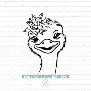 Floral Ostrich Svg | Emu Svg | Ostrich Print Safari Svg | Ostrich Clipart | Ostrich Silhouette | Ostrich Svg Cut Files for Cricut | Png Dxf