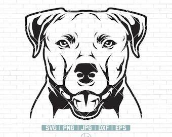 American Bully Svg Etsy