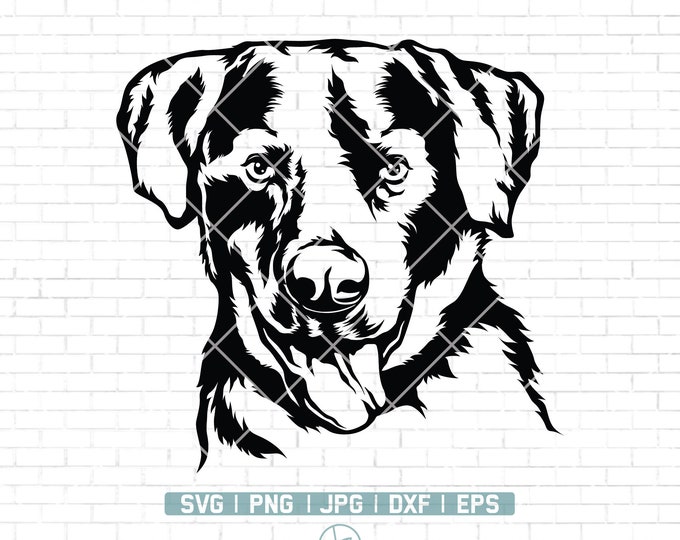 Labrador Svg Files for Cricut, Dog Clipart Yellow Lab Breed Vector ...