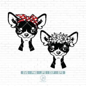 Chihuahua Svg | Chiuhuahua with flower crown Svg | Chihuahua Clipart | Pet Face Svg | Dog Svg | Dog Clipart | Chihuahua Png | Cutting Files