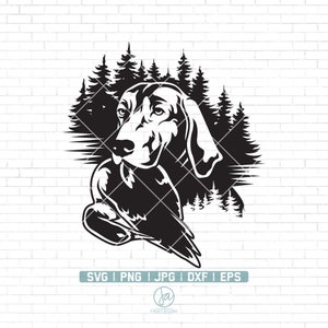 Fichier Svg de chien de chasse | Chasseurs Svg | Chemise de chien ..., حجم الصورة 300x300