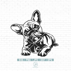 Bulldog Francês SVG | Francês svg | clipart de cachorro engraçado | cara de animal de estimação png | Raça Bulldog Svg | Impressão de clipart francês | Arquivos de corte Cricut