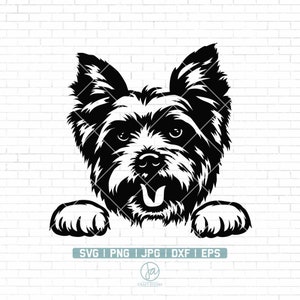 Yorkshire Terrier svg | Peeking yorkie svg | Yorkie face clipart | Dog svg | yorkshire svg | Dog Cut file | Png Dxf Jpg Eps