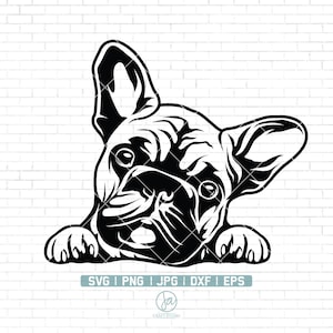 Französische Bulldogge Svg | Frenchie svg | lustiger Hund Clipart | Tiergesicht png | Bulldogge Rasse Svg | Frenchie Clipart Print | Cricut-Dateien