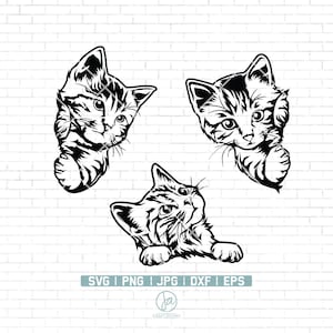 Cute Cat Svg File | Peeking Cat Svg | Cat Svg | Cat Clipart | Funny Cat Svg | Peeking Pet Face Clipart | Cute Cat Shirt design | Cat Png