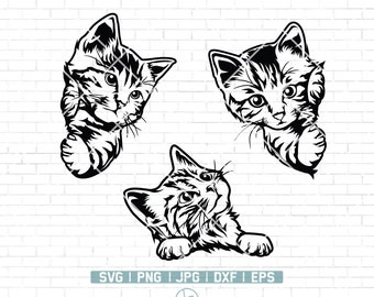 Cute Cat Svg File | Peeking Cat Svg | Cat Svg | Cat Clipart | Funny Cat Svg | Peeking Pet Face Clipart | Cute Cat Shirt design | Cat Png