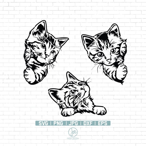 Cute Cat Svg File | Peeking Cat Svg | Cat Svg | Cat Clipart | Funny Cat Svg | Peeking Pet Face Clipart | Cute Cat Shirt design | Cat Png