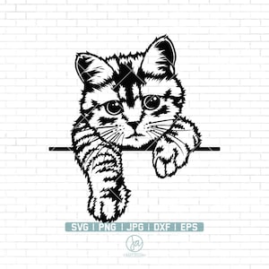 Cute Cat Svg | Peeking Cat Svg | Cat Svg | Funny Cat Svg | pet svg | animal funny face | Cricut & Silhouette | Printable | Png Dxf Jpg Eps