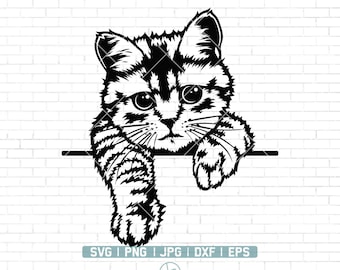 Cute Cat Svg | Peeking Cat Svg | Cat Svg | Funny Cat Svg | pet svg | animal funny face | Cricut & Silhouette | Printable | Png Dxf Jpg Eps