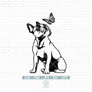 Süßer Hund SVG | Neugierige Hunde Clipart | Hunde svg | Französische Bulldogge Svg | Guck gesicht Tier Svg | Süße Svg Cut Dateien für Cricut | Png Dxf Eps