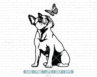 Cute Dog SVG | Curious Dog Clipart | Dog Svg | French Bulldog Svg | Peeking face animal Svg | Cute Dog Svg Cut Files for Cricut |Png Dxf Eps