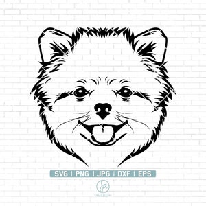 Pomeranian Svg File | Dog svg | funny dog clipart | pet face png | Pomeranian breed Svg | Pomeranian Clipart Print | Cricut Cutting Files